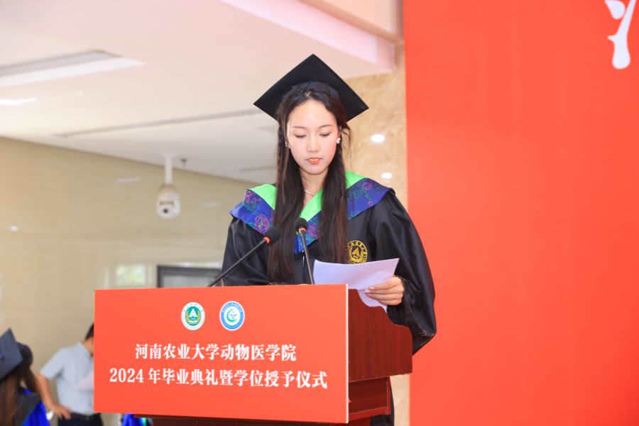 �齫������