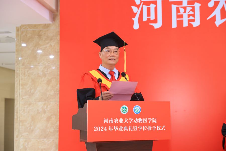 �齫������