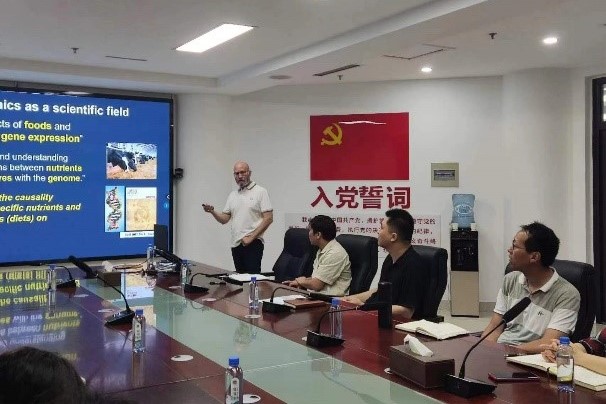 �齫������