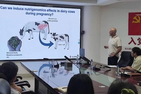 �齫������