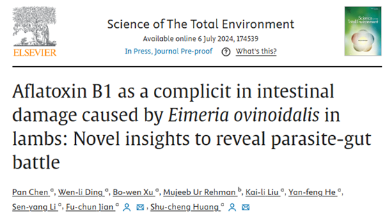 �齫������