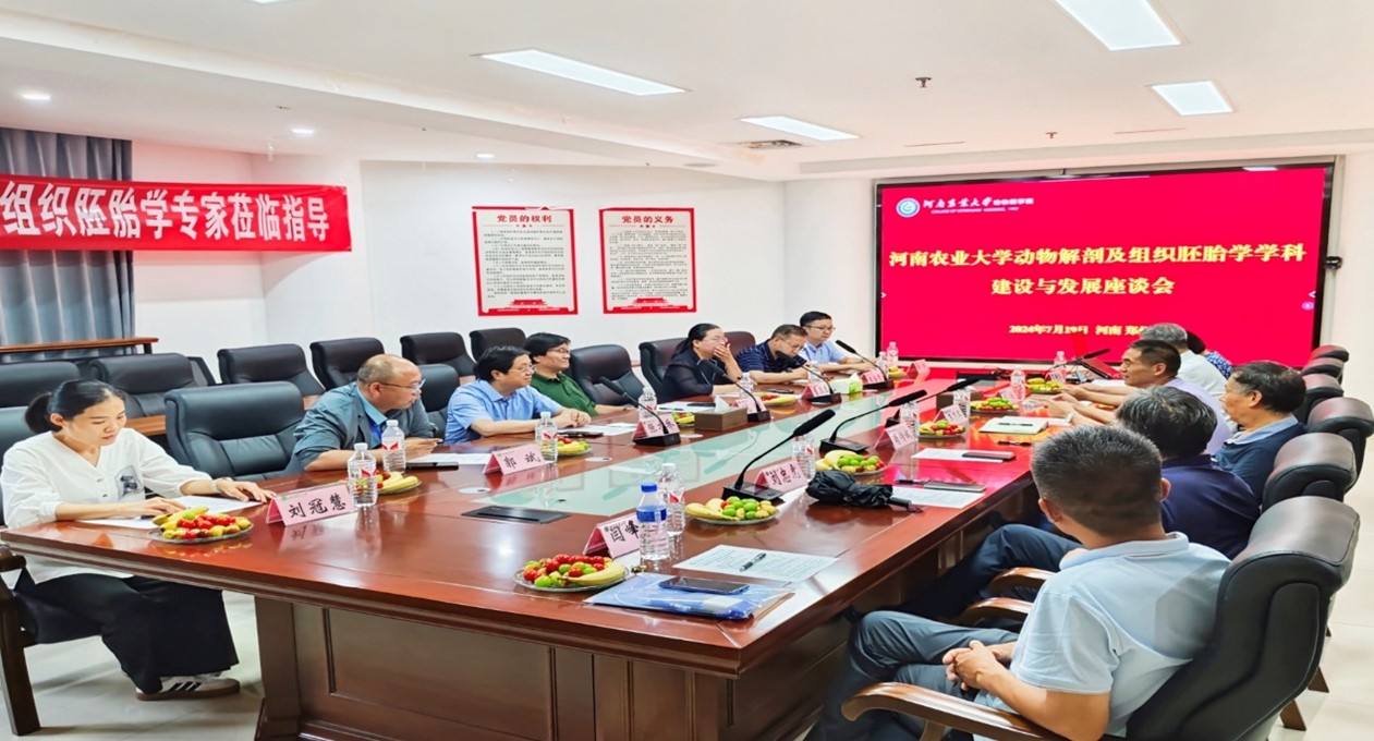 �齫������