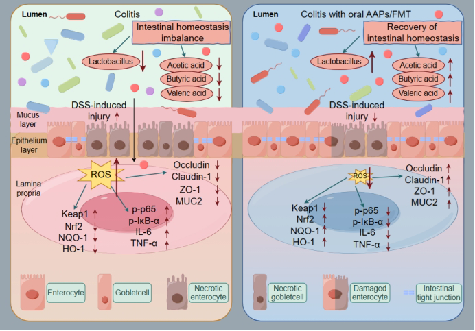 �齫������