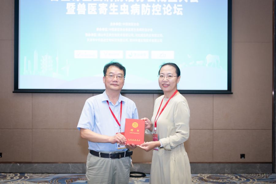 �齫������