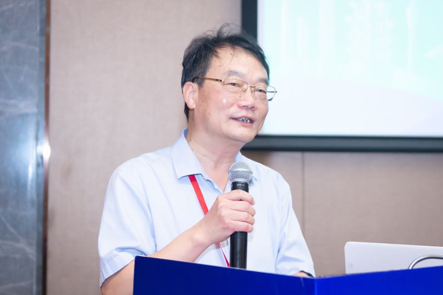 �齫������