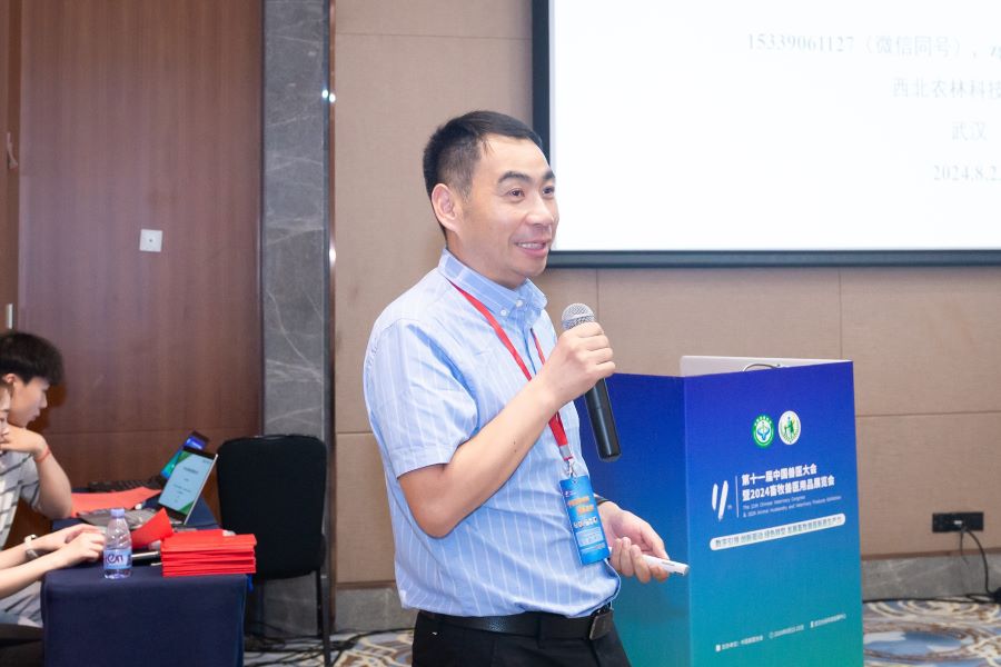 �齫������