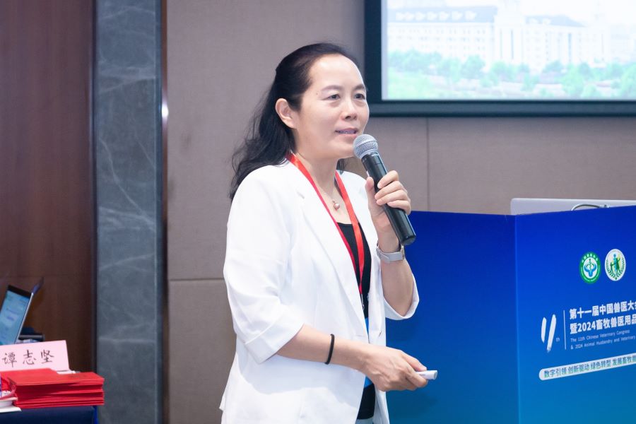 �齫������