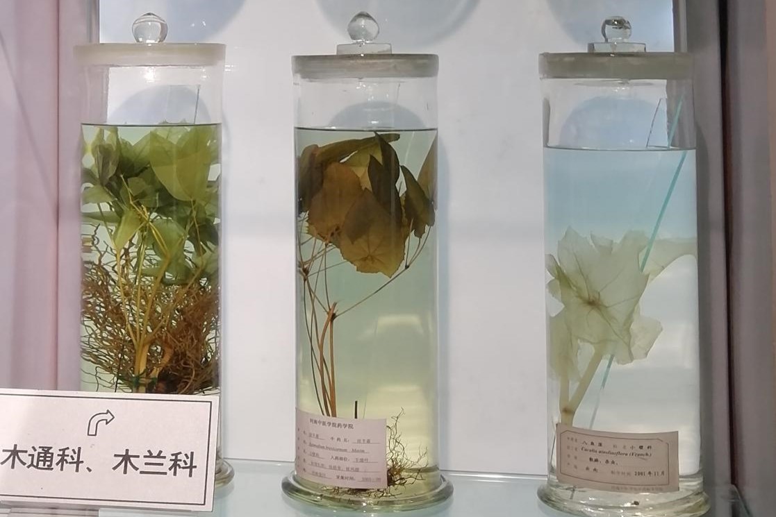 �齫������