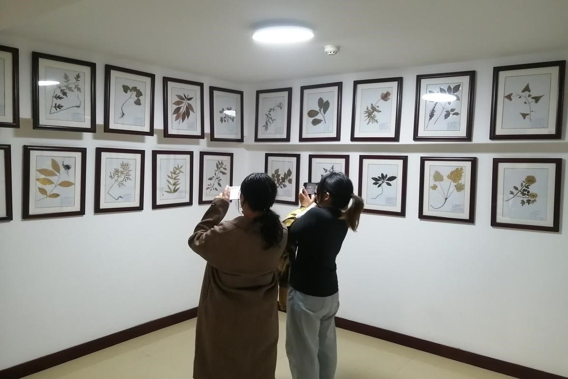 �齫������