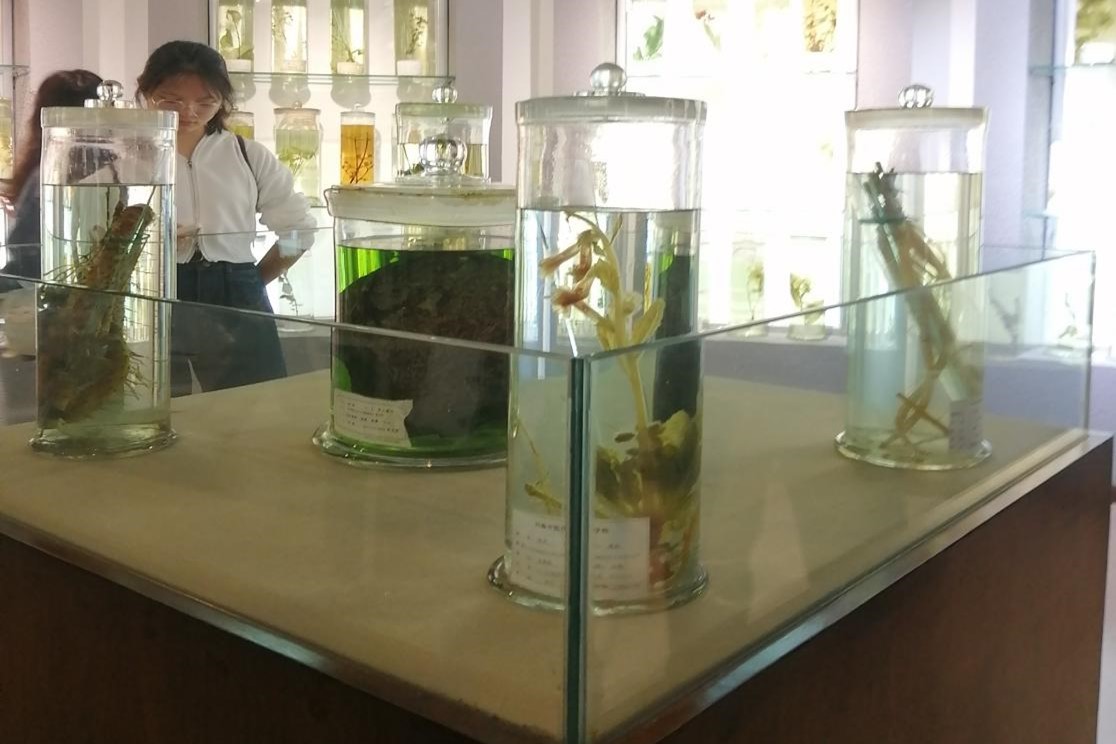 �齫������