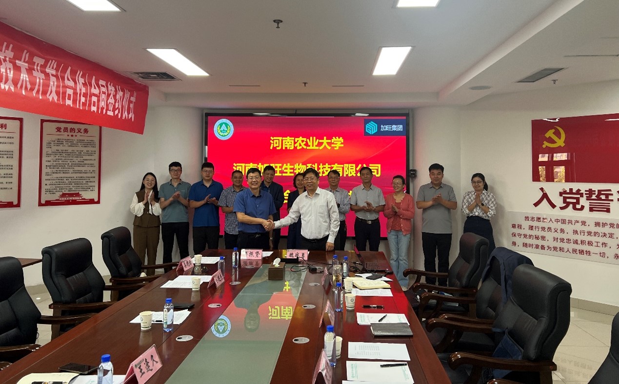 �齫������