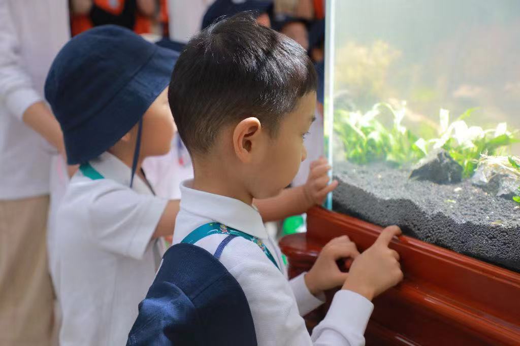 �齫������