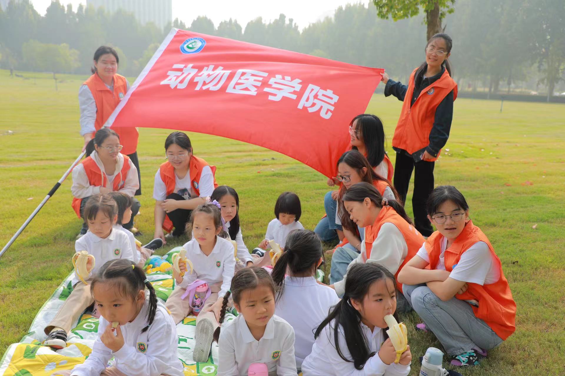 �齫������