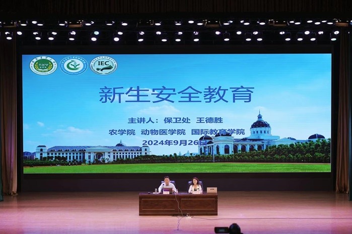 �齫������