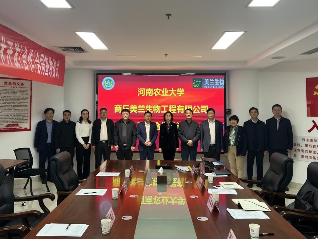 �齫������