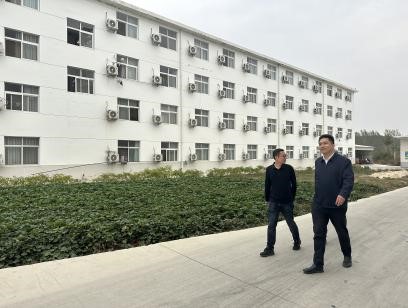 �齫������