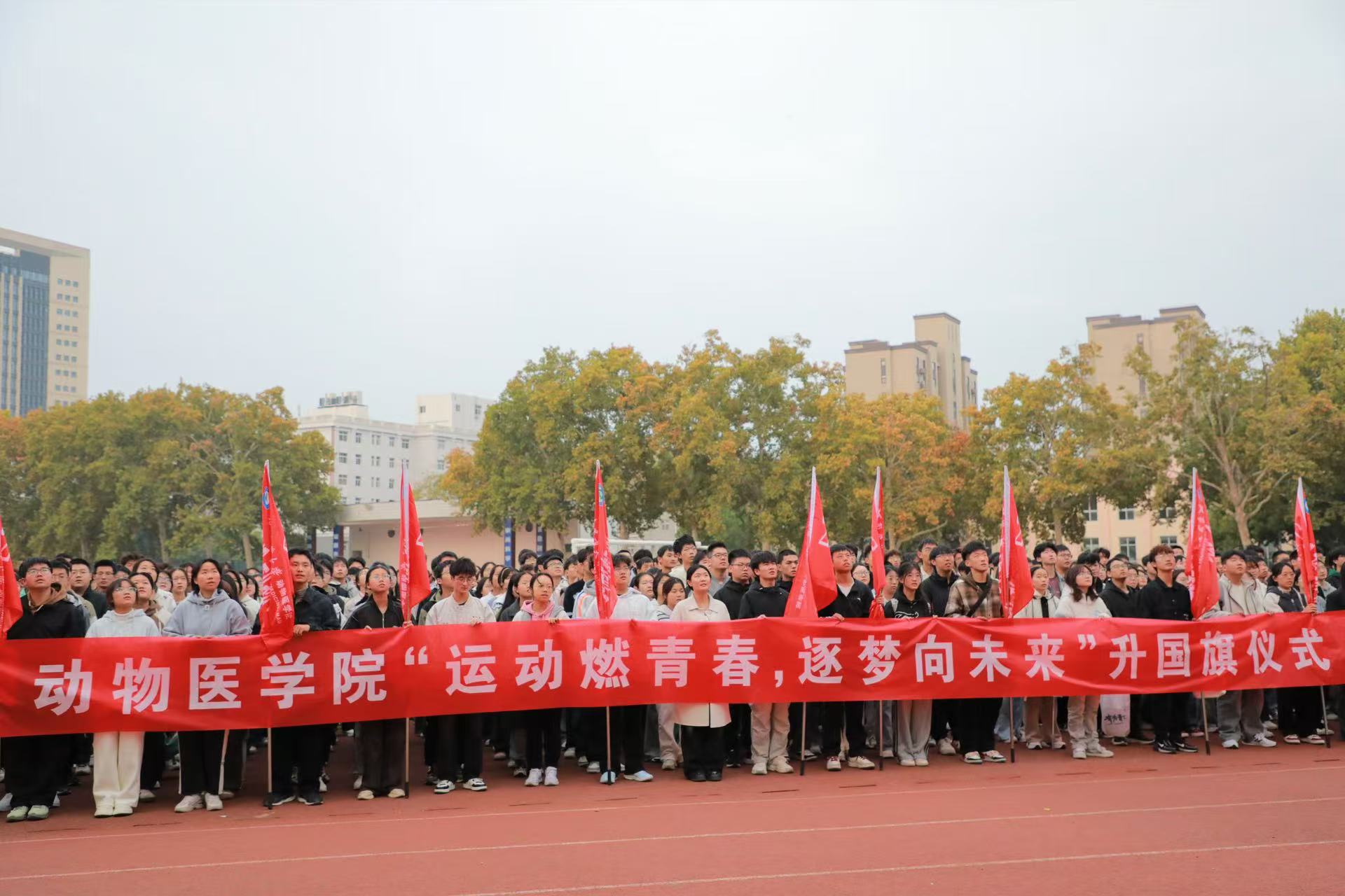 �齫������