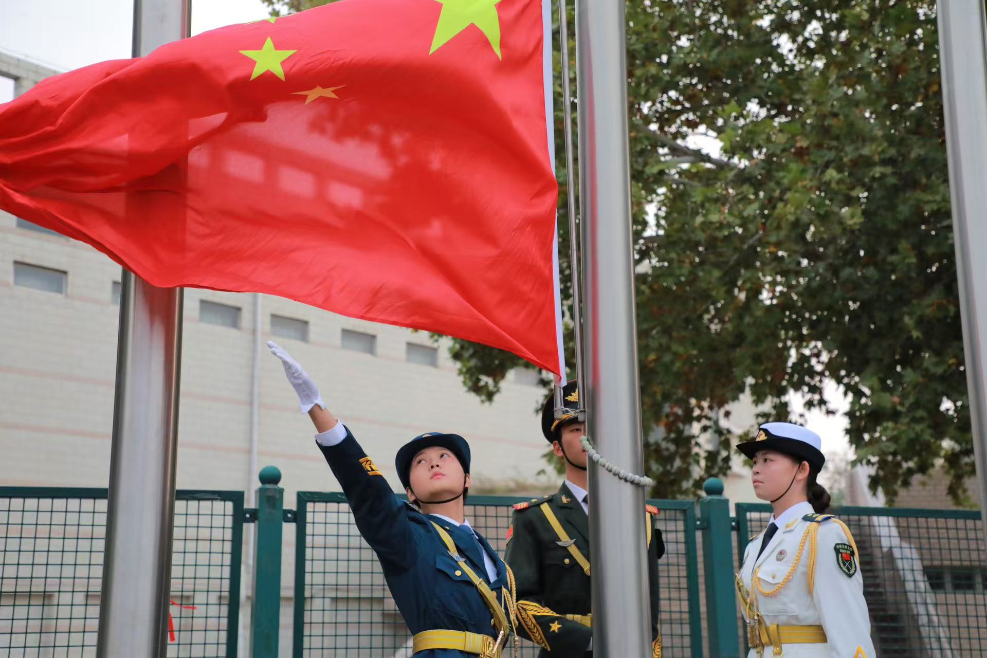 �齫������