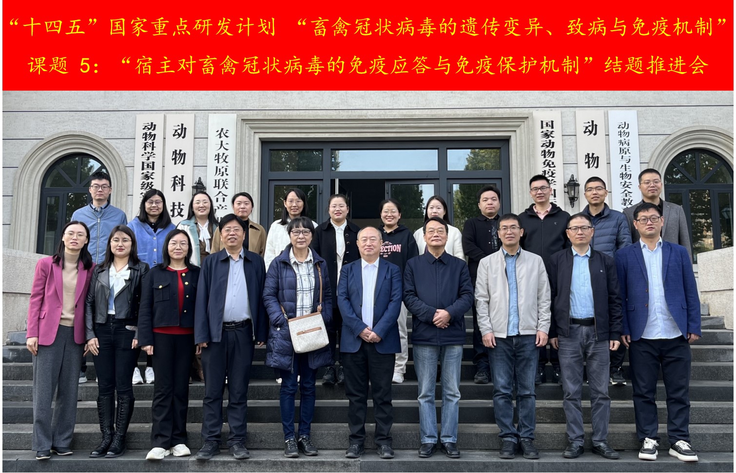 �齫������