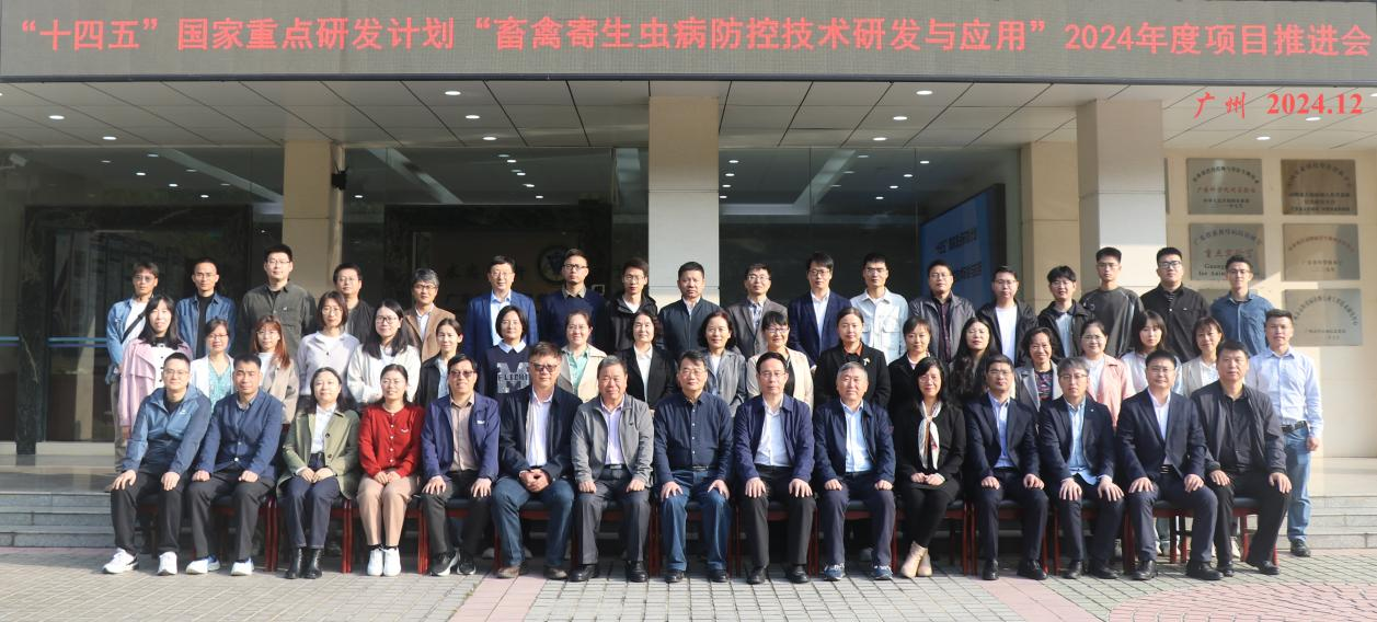 �齫������