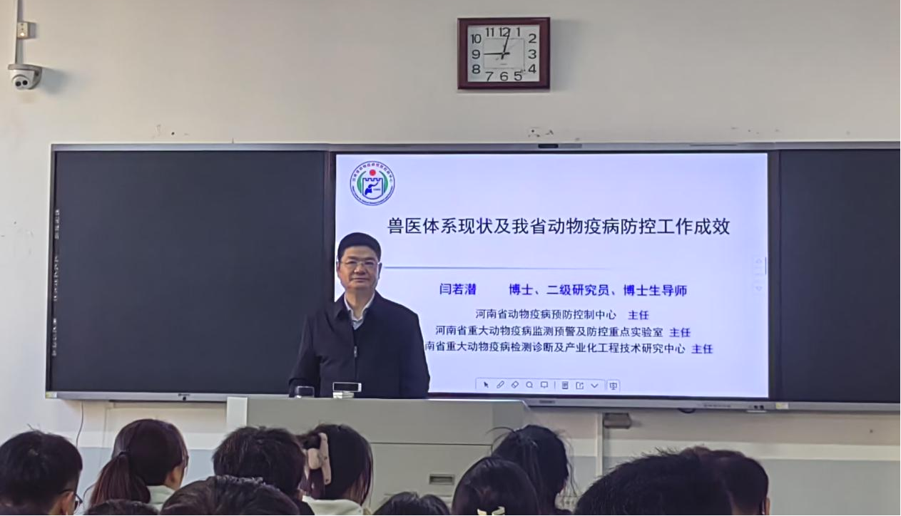 �齫������