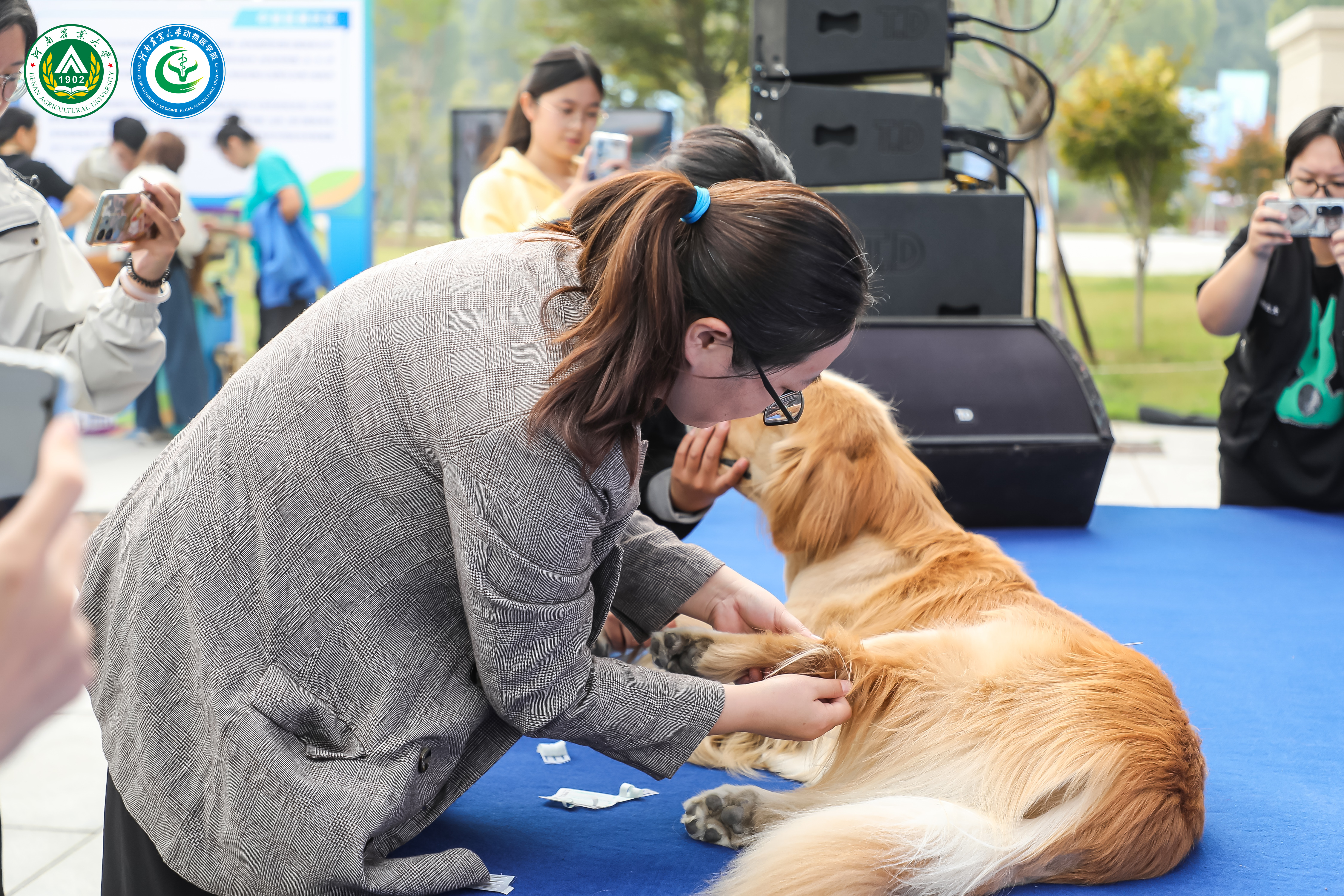 �齫������