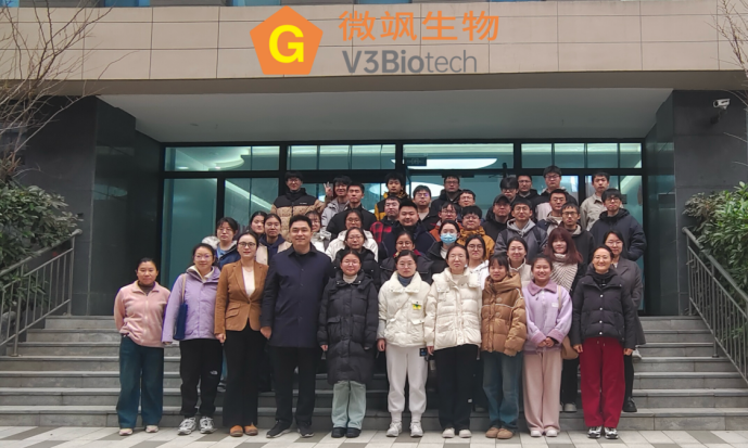 �齫������