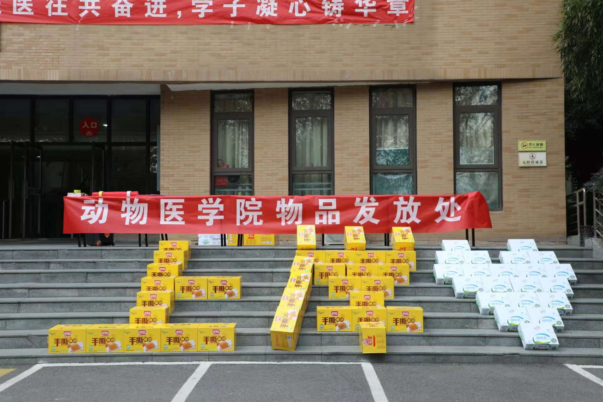 �齫������