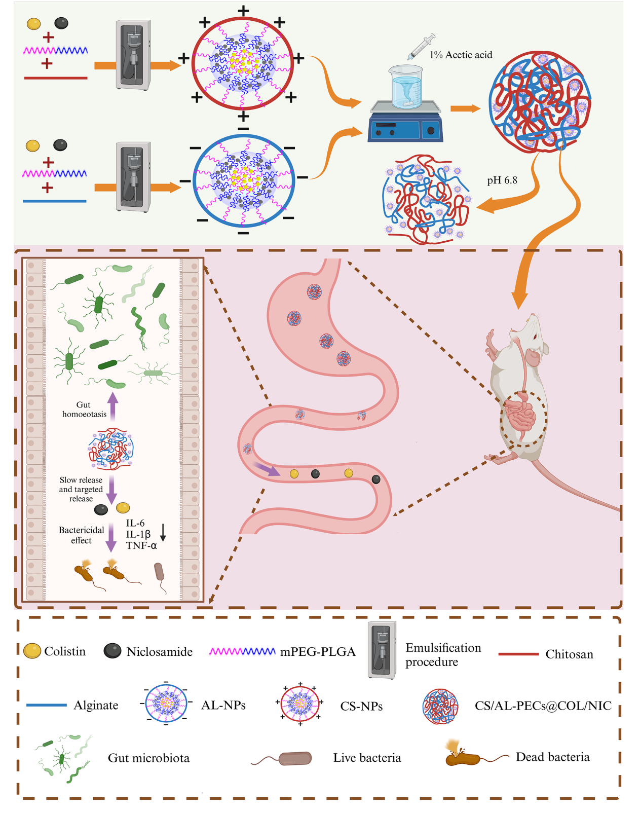 �齫������