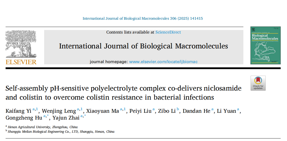 �齫������