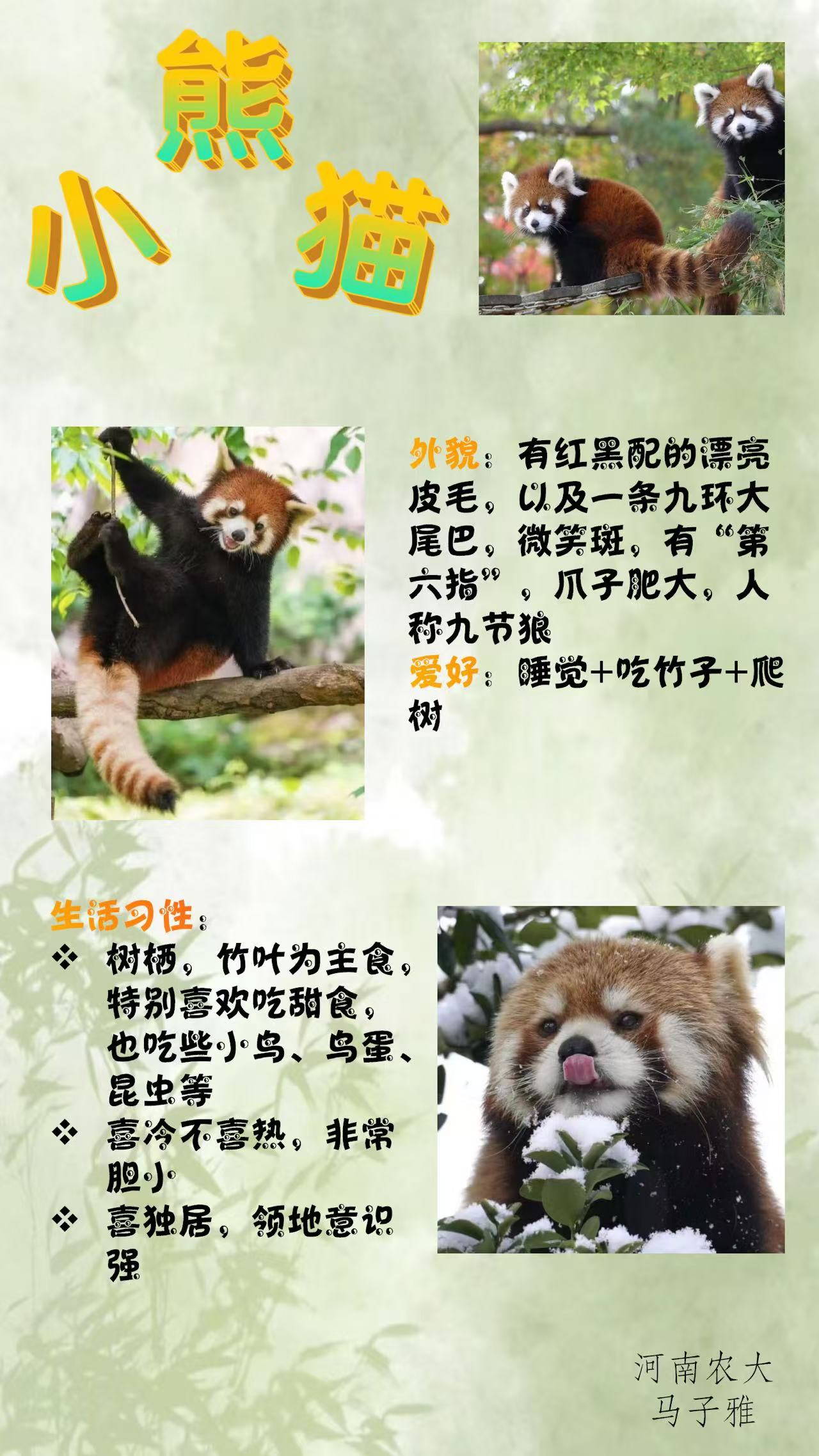 �齫������