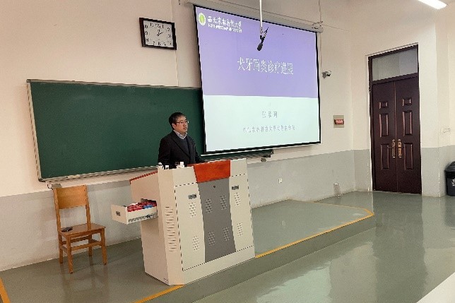 �齫������