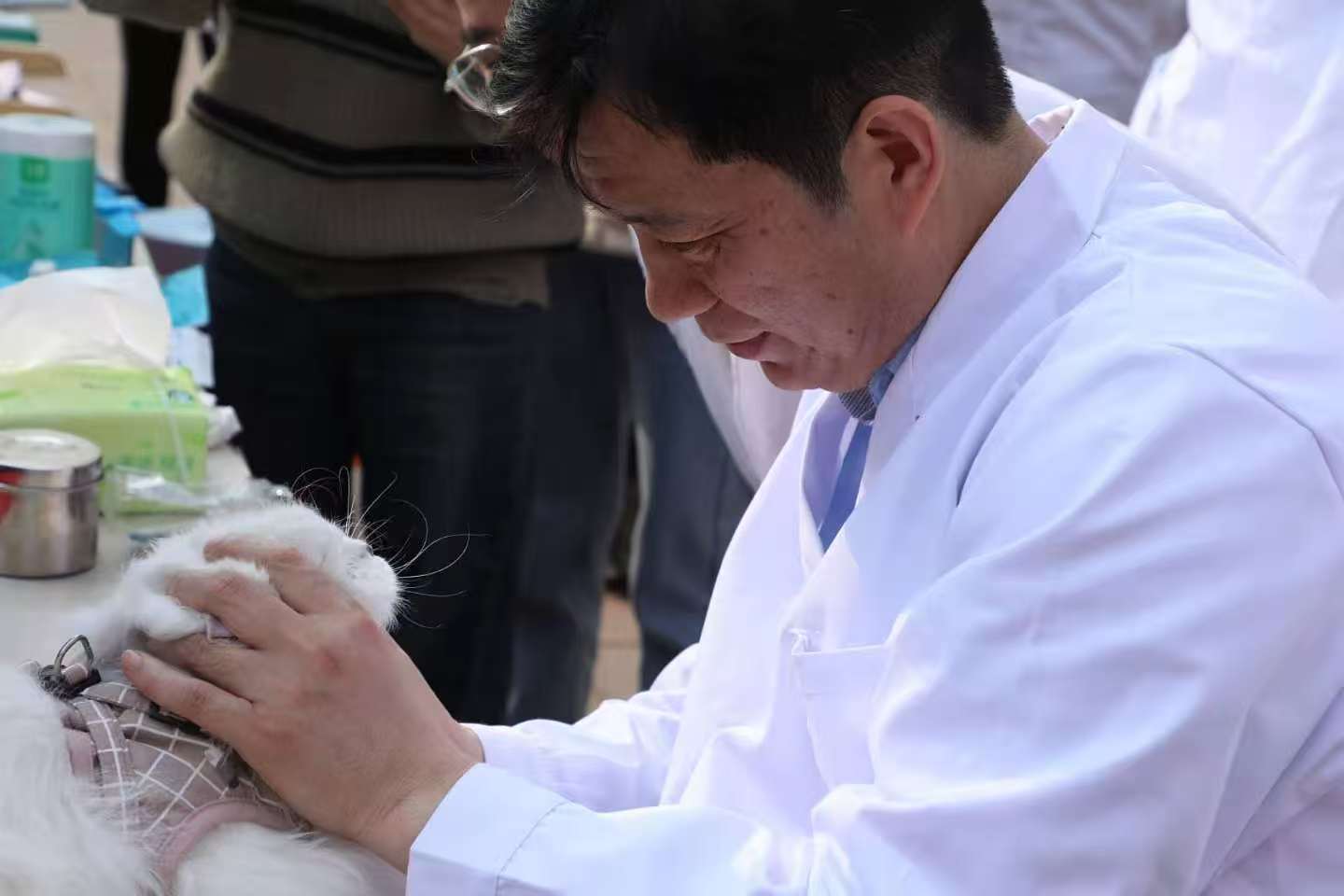 �齫������