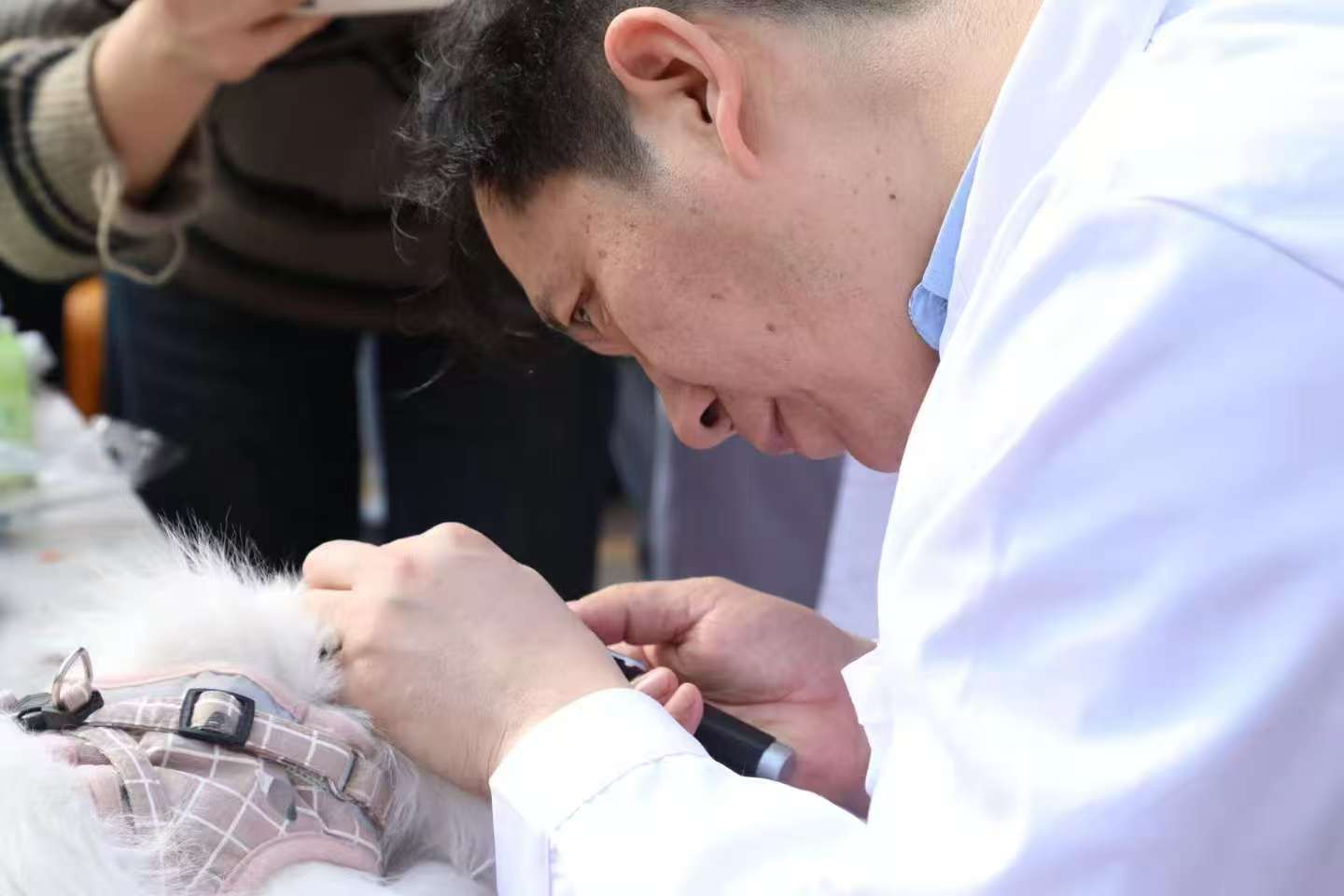 �齫������