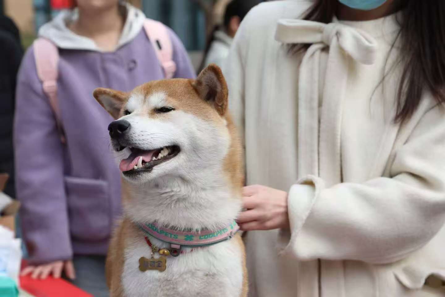 �齫������