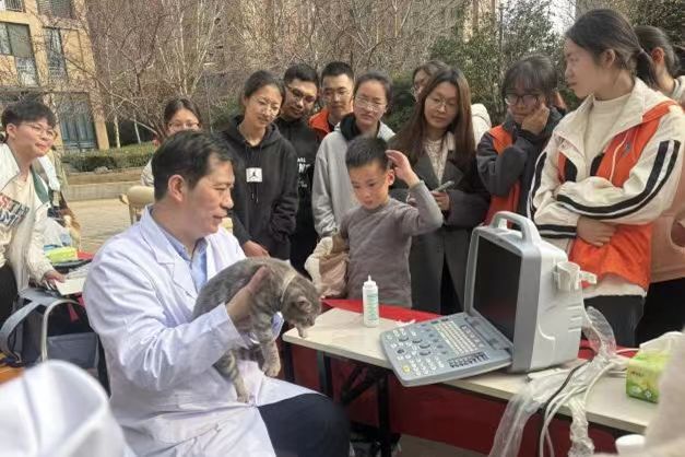 �齫������