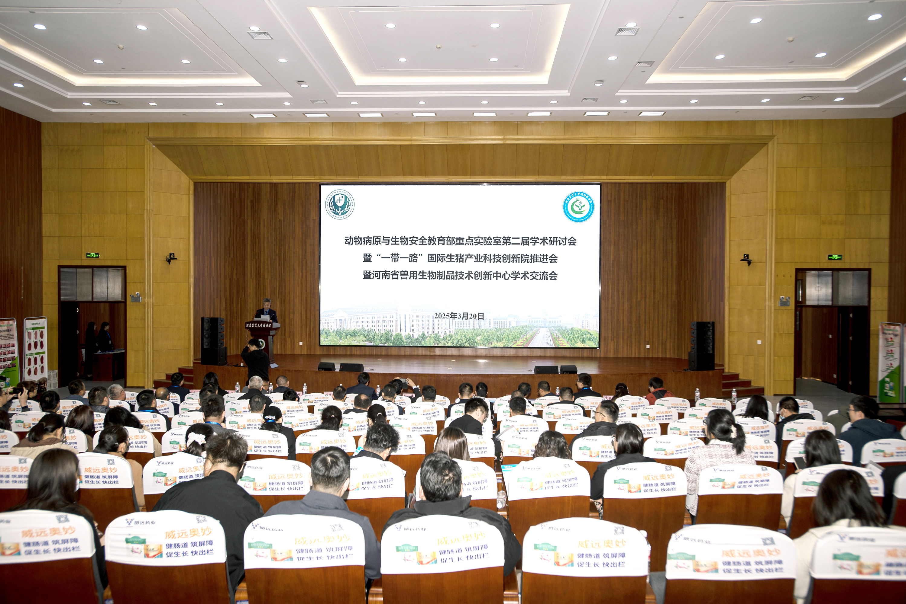 �齫������