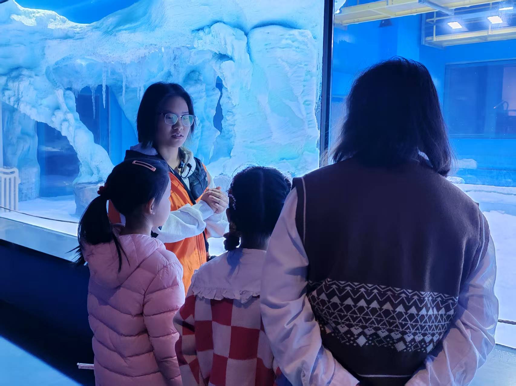 �齫������