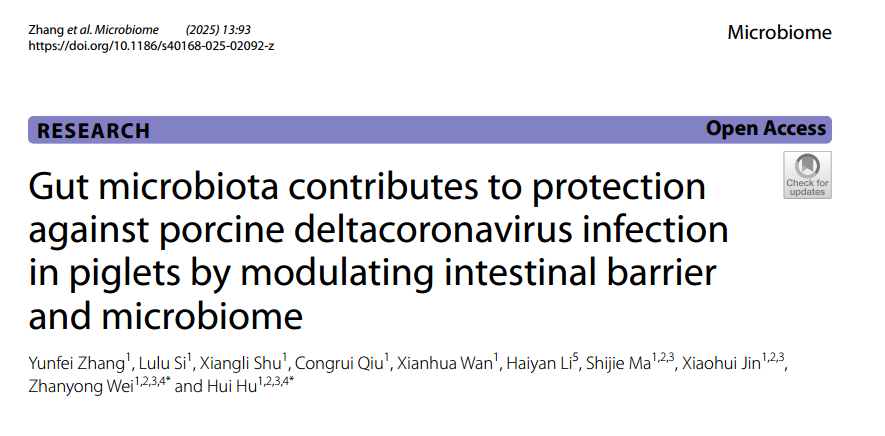 �齫������