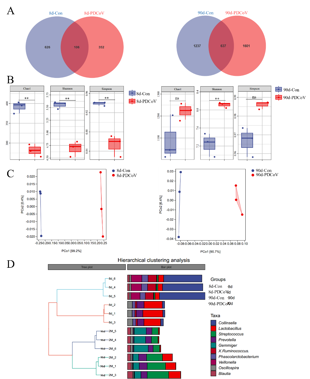 �齫������