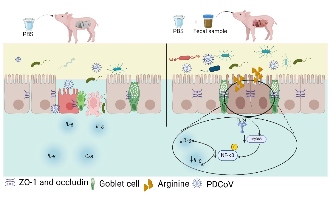 �齫������