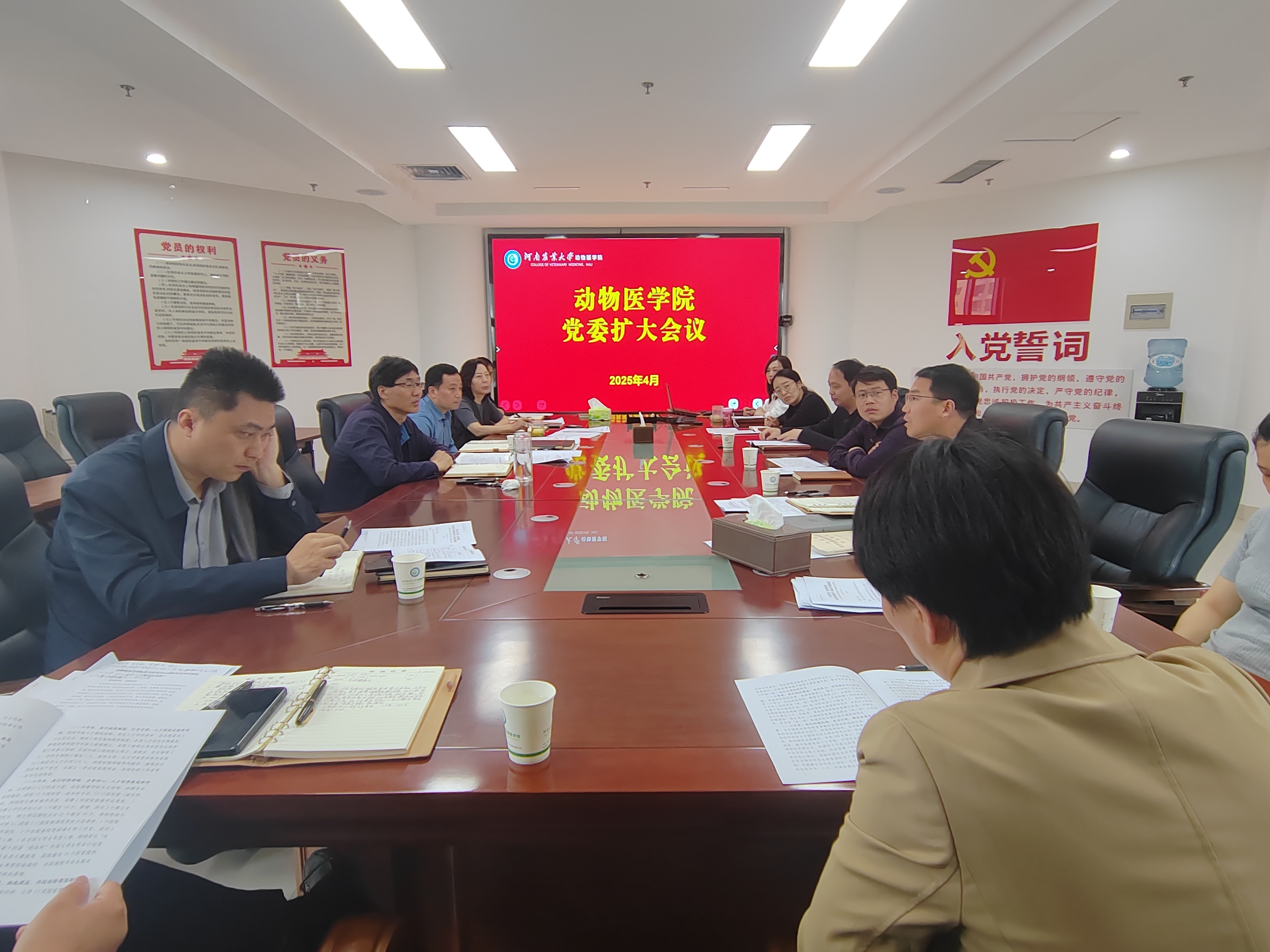 �齫������