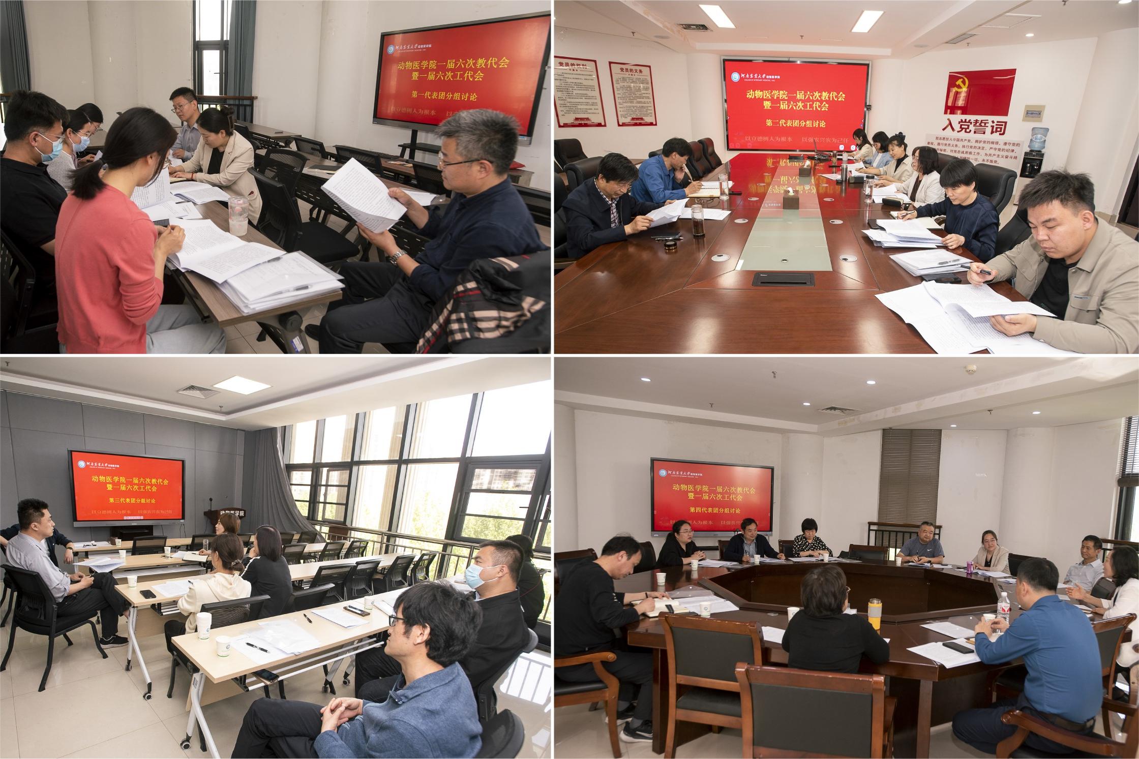 �齫������