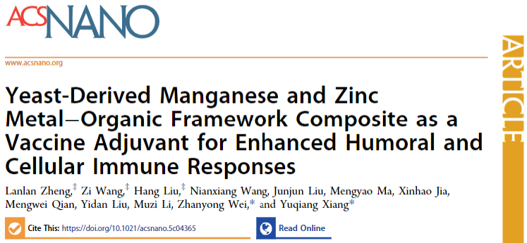 �齫������