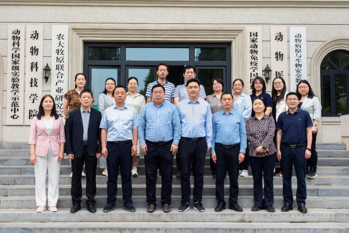 �齫������