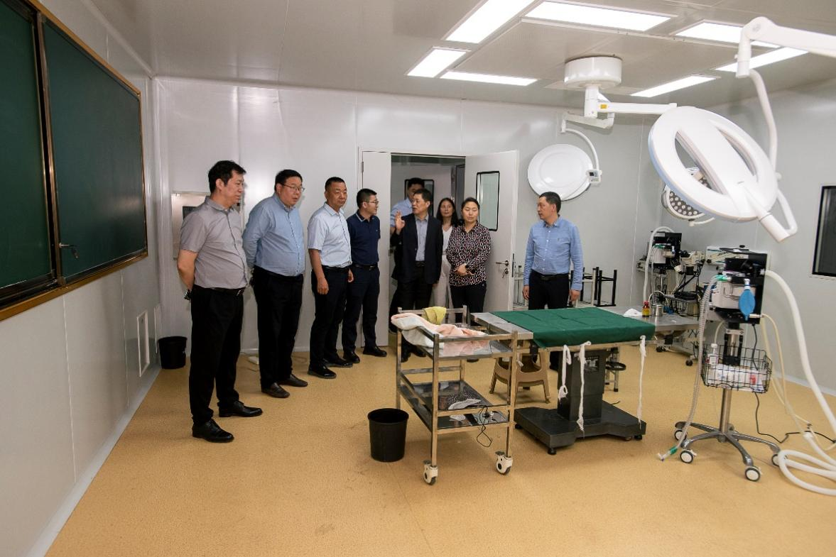 �齫������