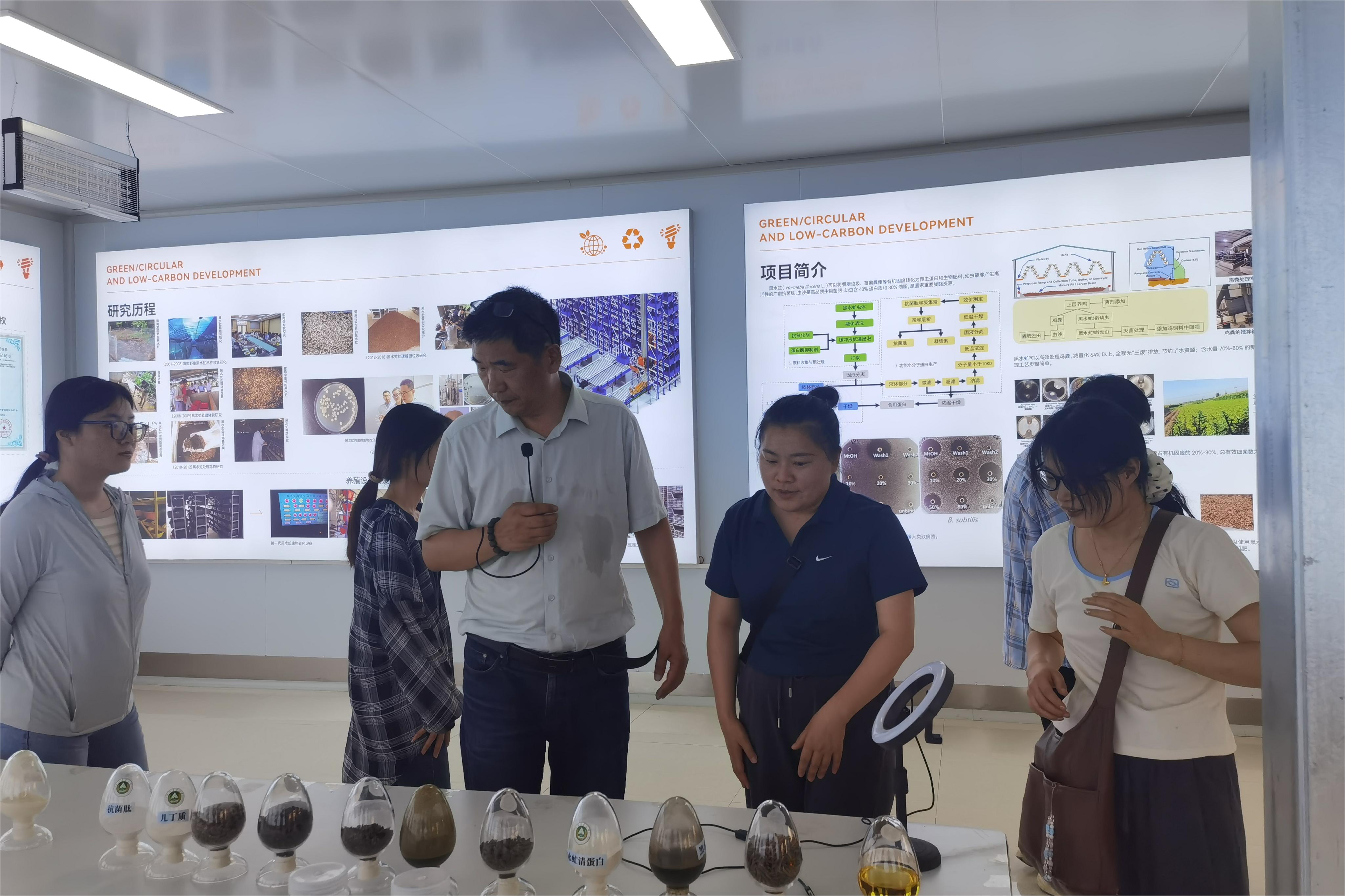 �齫������