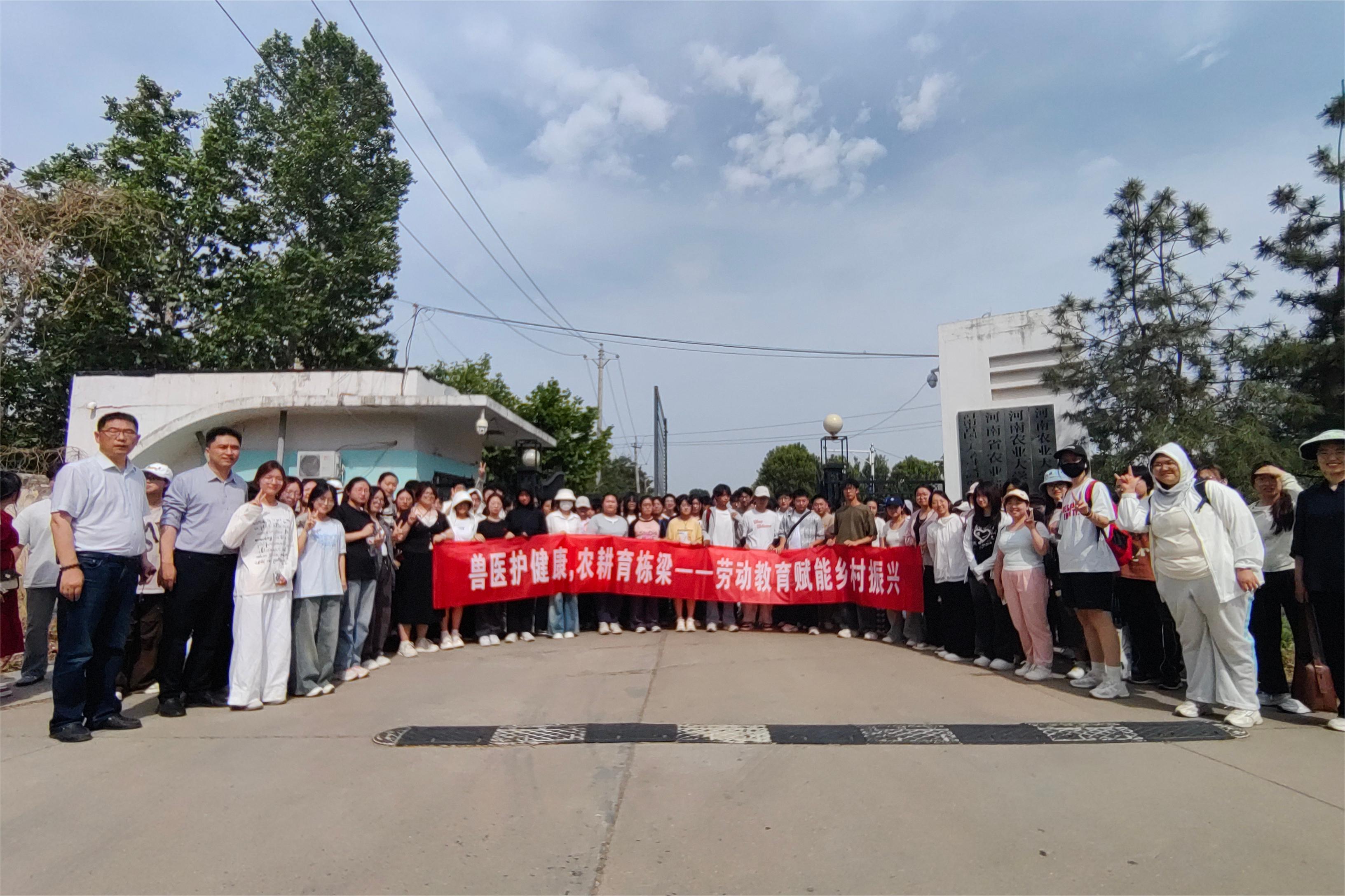 �齫������