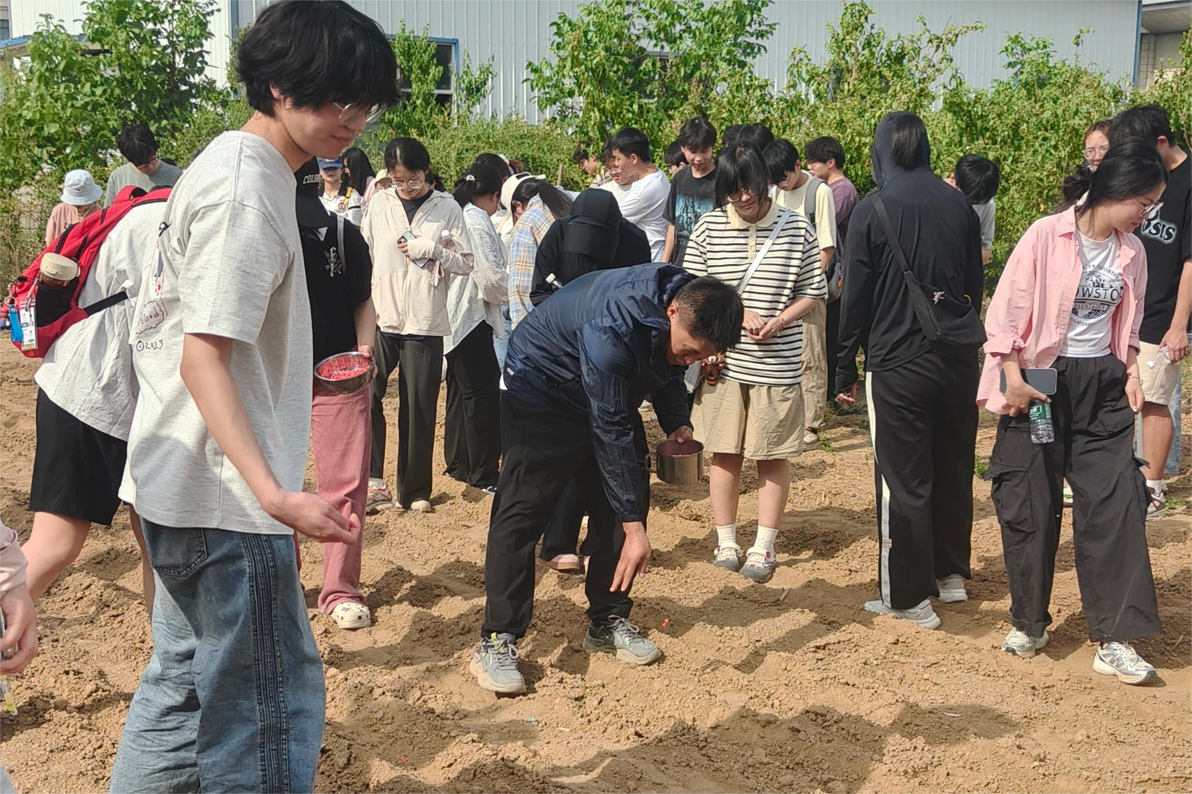 �齫������