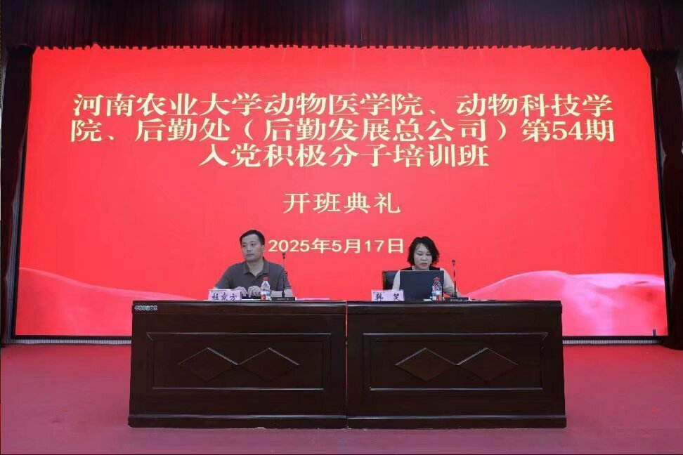 �齫������